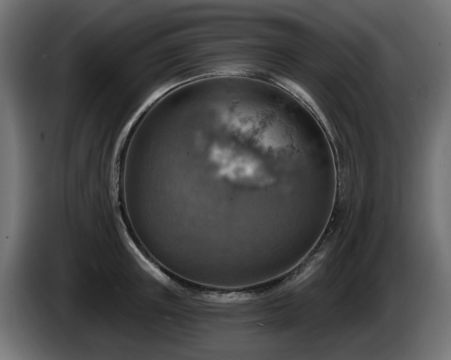 X0000084540851200703021442