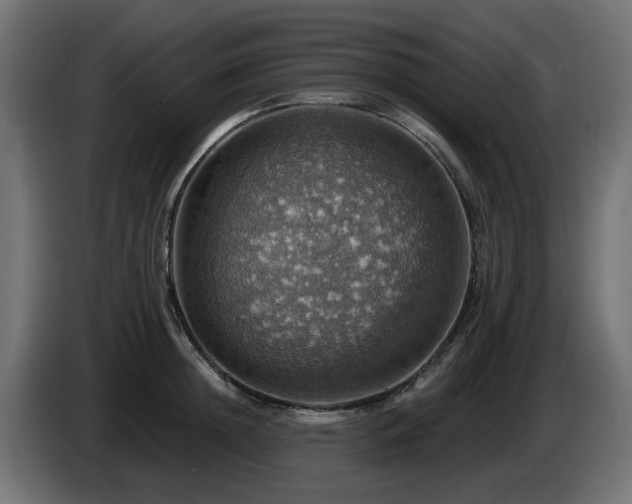 X0000084540852200703021442