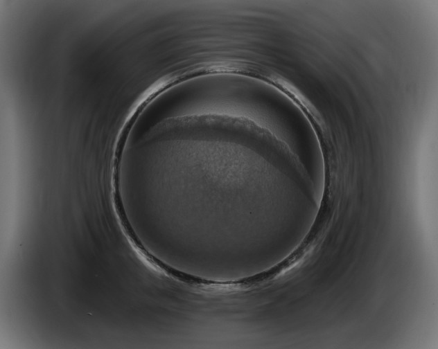 X0000084540853200703021442