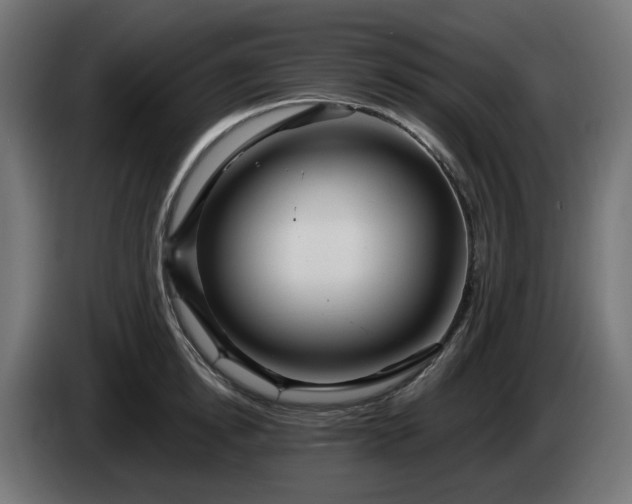 X0000084540854200703021442