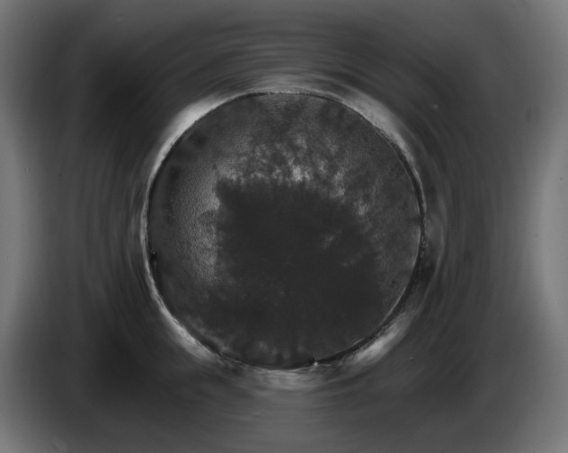 X0000084540855200703021442