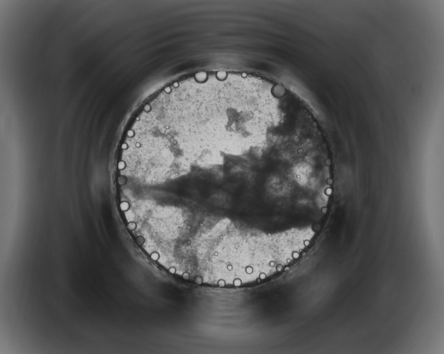 X0000084540856200703021442