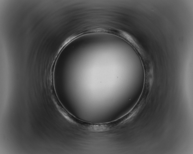 X0000084540858200703021442