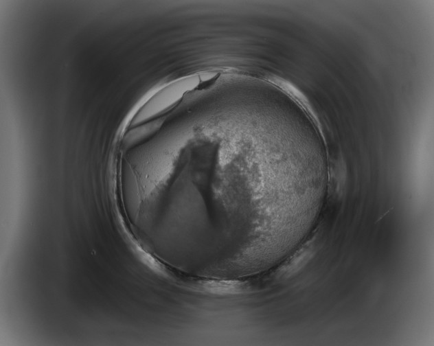 X0000084540859200703021442