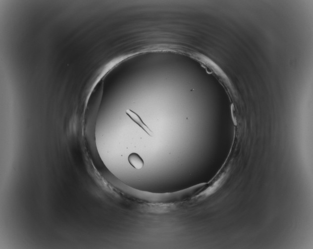 X0000084540860200703021442