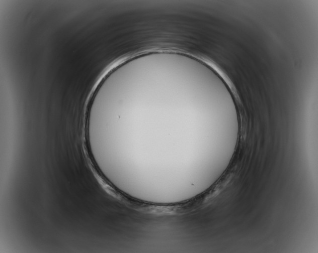 X0000084540861200703021442