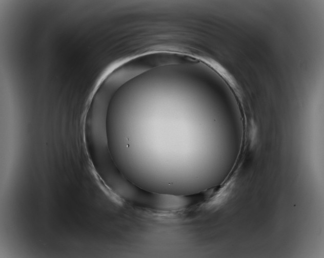 X0000084540862200703021442