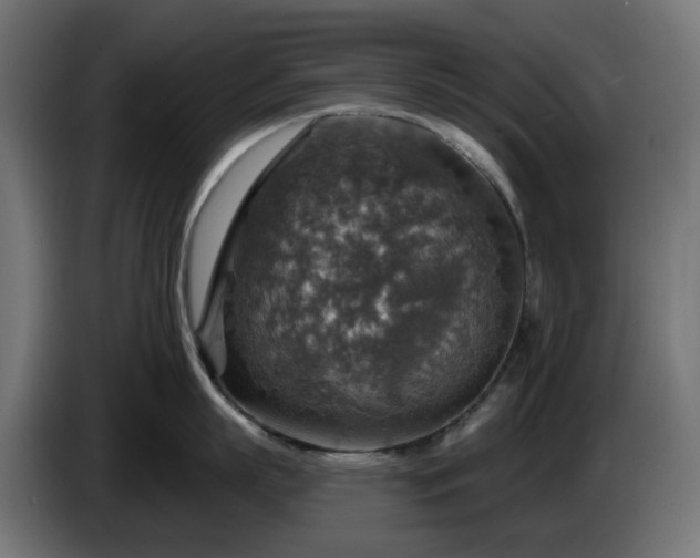 X0000084540863200703021442