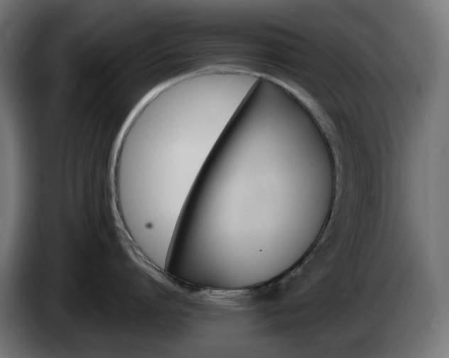 X0000084540864200703021442