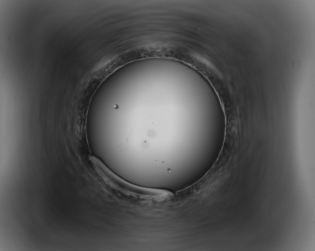 X0000084540869200703021441