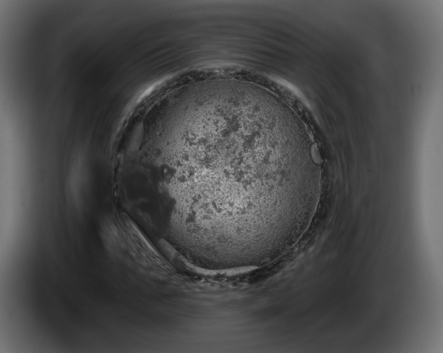 X0000084540871200703021441