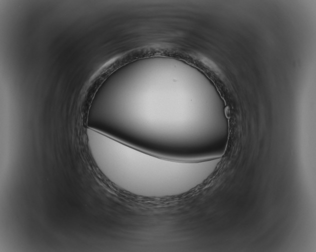 X0000084540872200703021441