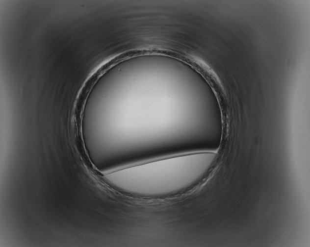 X0000084540876200703021441