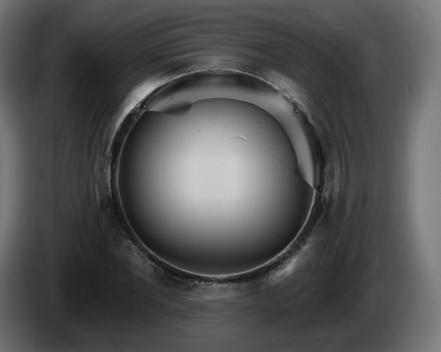 X0000084540877200703021441