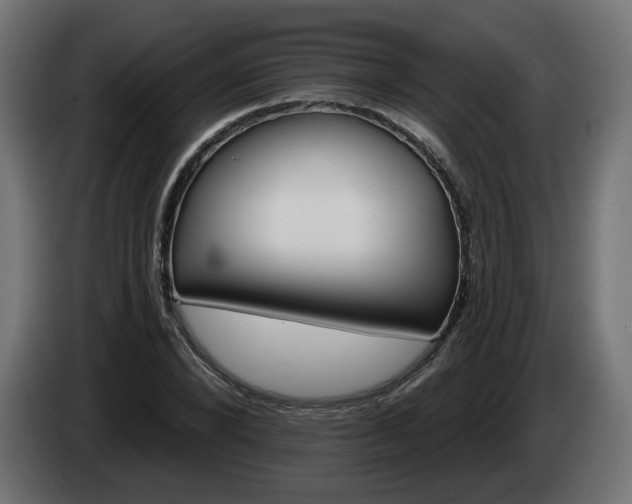 X0000084540880200703021441