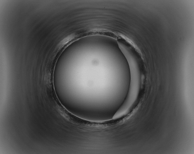 X0000084540881200703021441