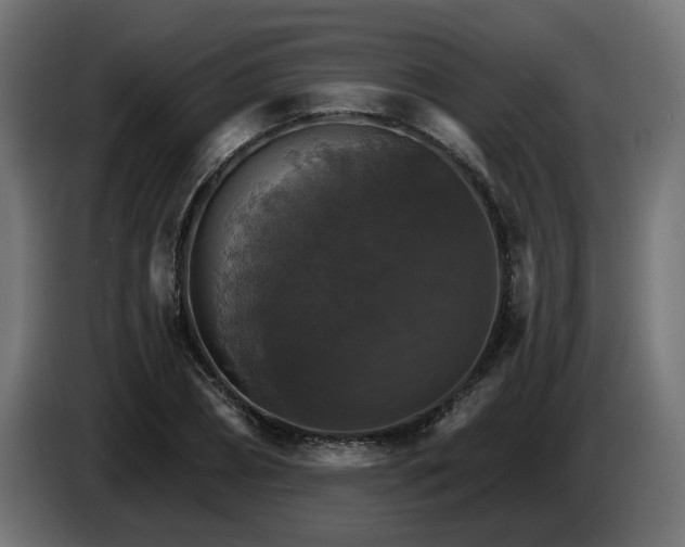 X0000084540882200703021441