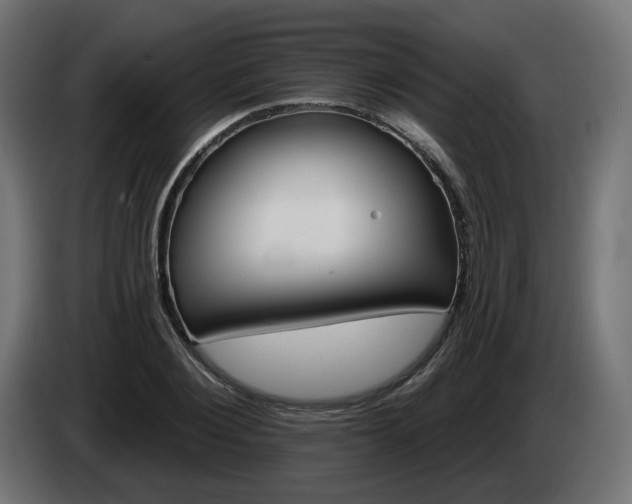 X0000084540884200703021441