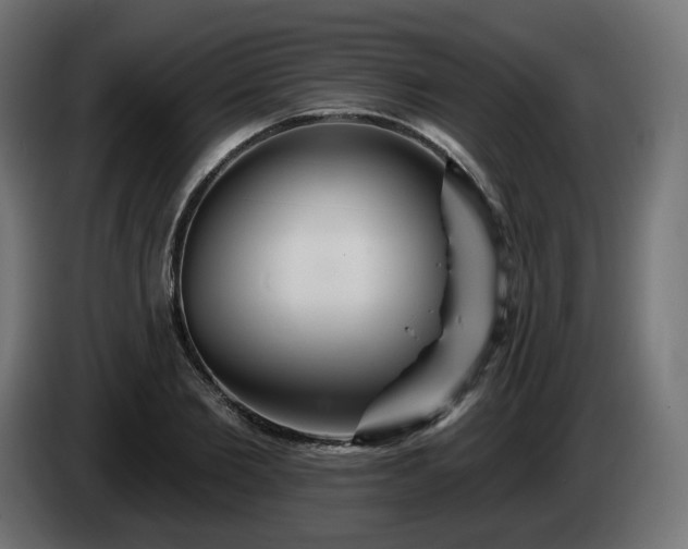 X0000084540885200703021441