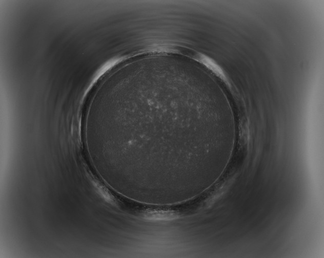 X0000084540886200703021441