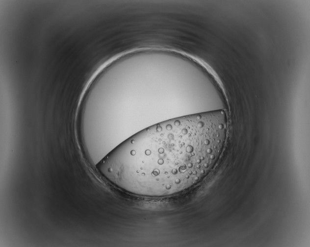 X0000084540887200703021441