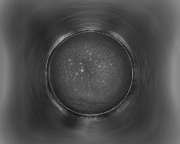 X0000084540890200703021441