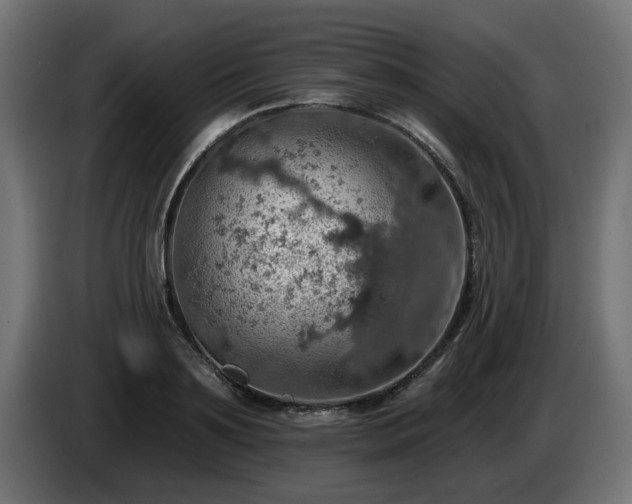X0000084540891200703021441