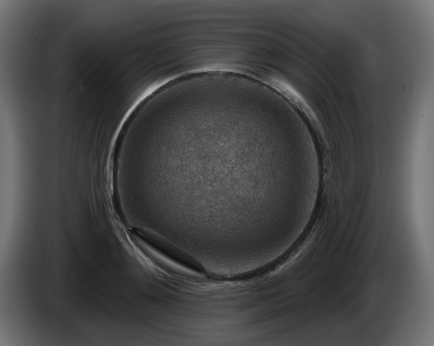 X0000084540892200703021441