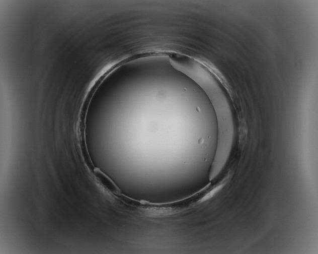 X0000084540893200703021441