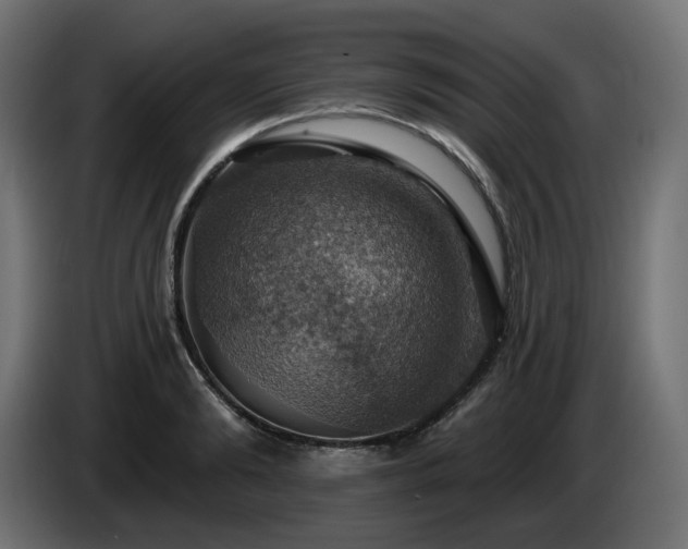 X0000084540894200703021441