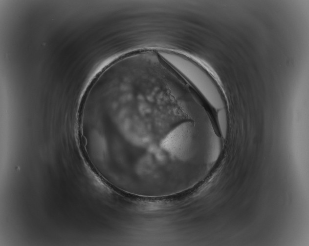 X0000084540895200703021441