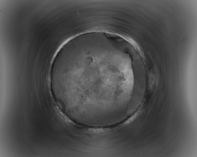 X0000084540896200703021441