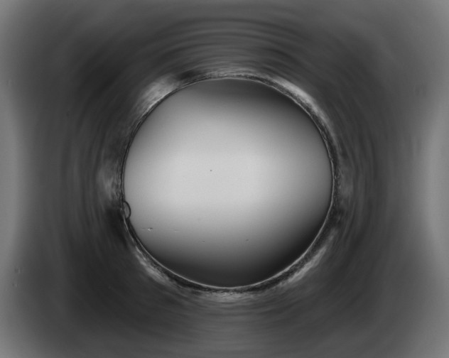 X0000084540897200703021441