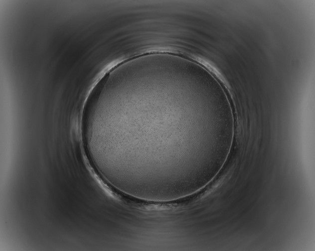 X0000084540898200703021441