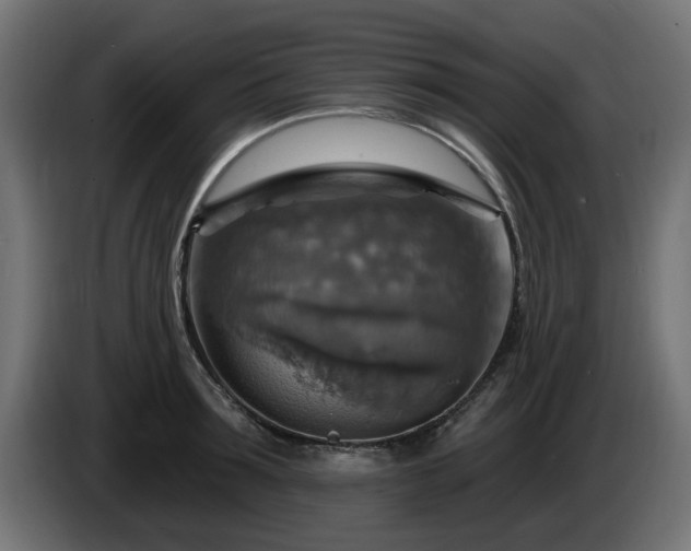 X0000084540899200703021441