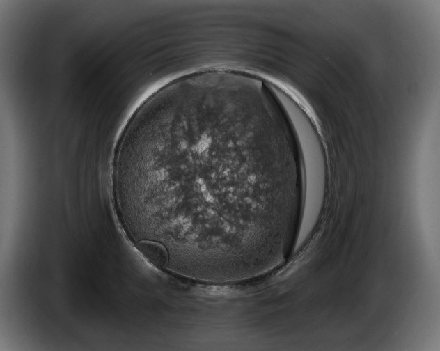 X0000084540903200703021441