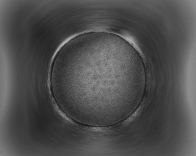 X0000084540904200703021441