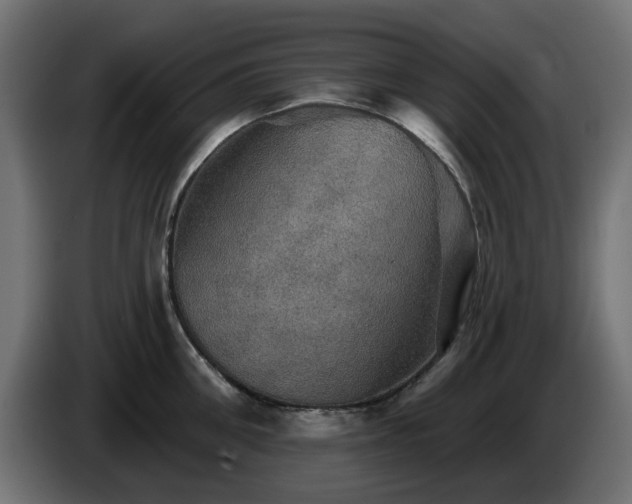 X0000084540906200703021441