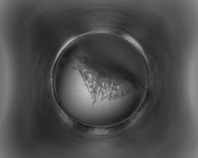 X0000084540907200703021441