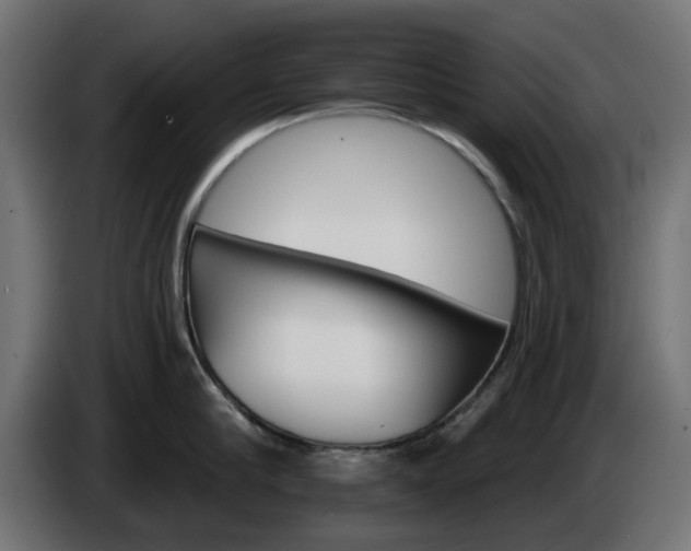 X0000084540910200703021441