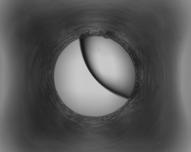 X0000084540914200703021440