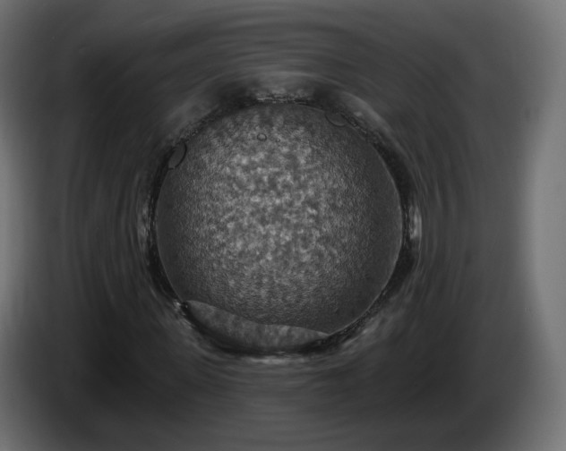 X0000084540915200703021440