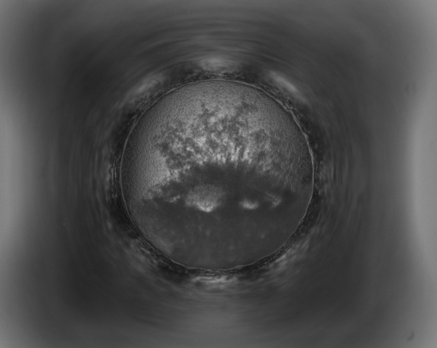 X0000084540917200703021440