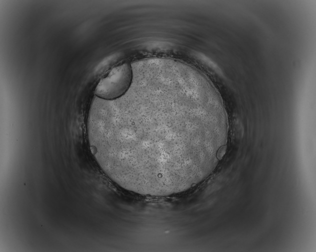 X0000084540918200703021440