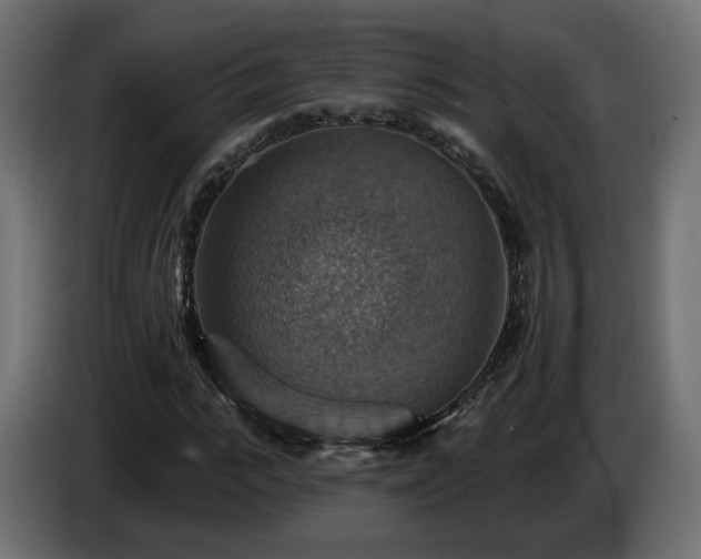 X0000084540919200703021440