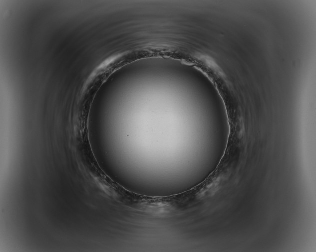 X0000084540920200703021440