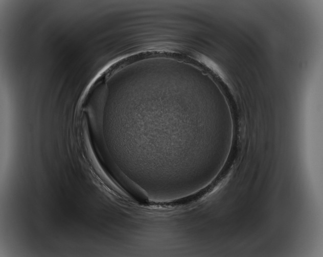 X0000084540923200703021440