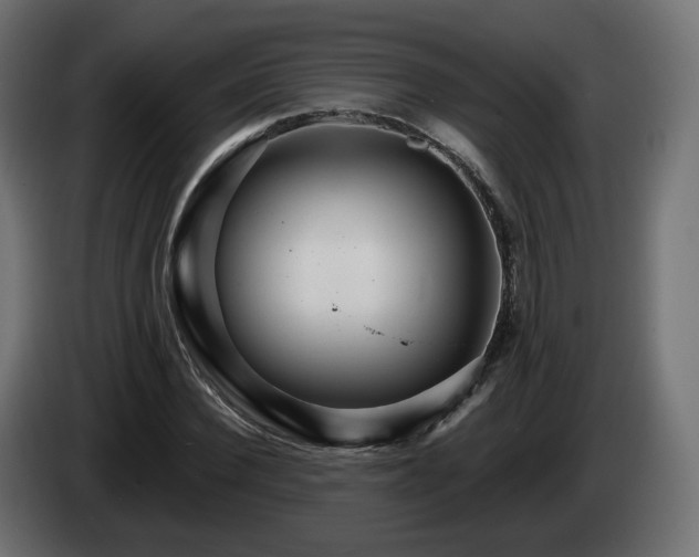 X0000084540924200703021440