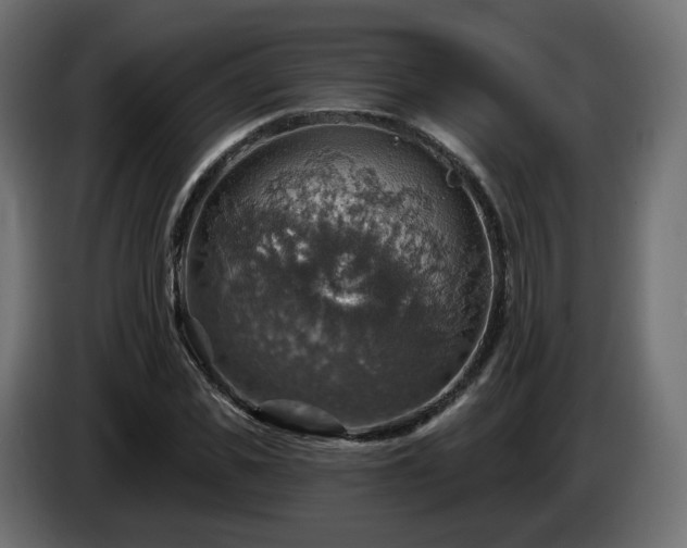 X0000084540925200703021440