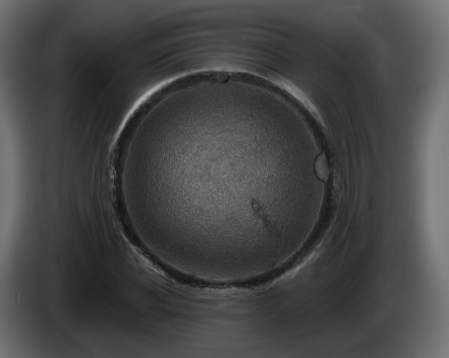 X0000084540926200703021440